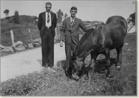 page4-pasted-graphic